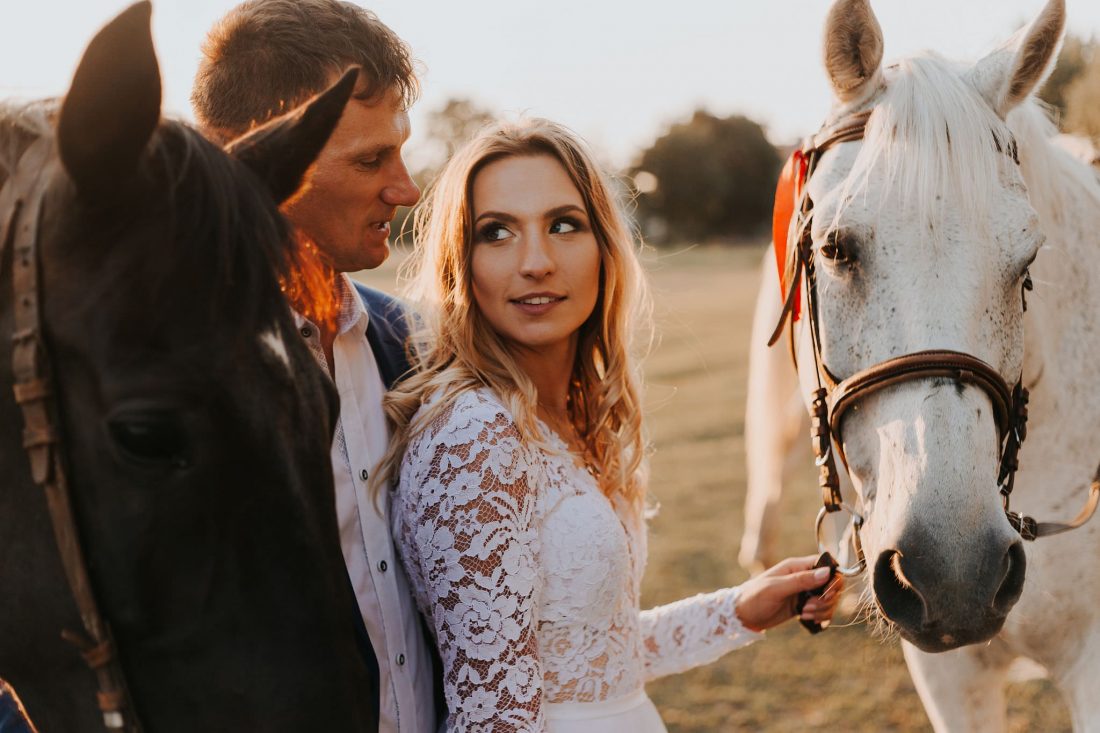 Sesja ślubna z końmi